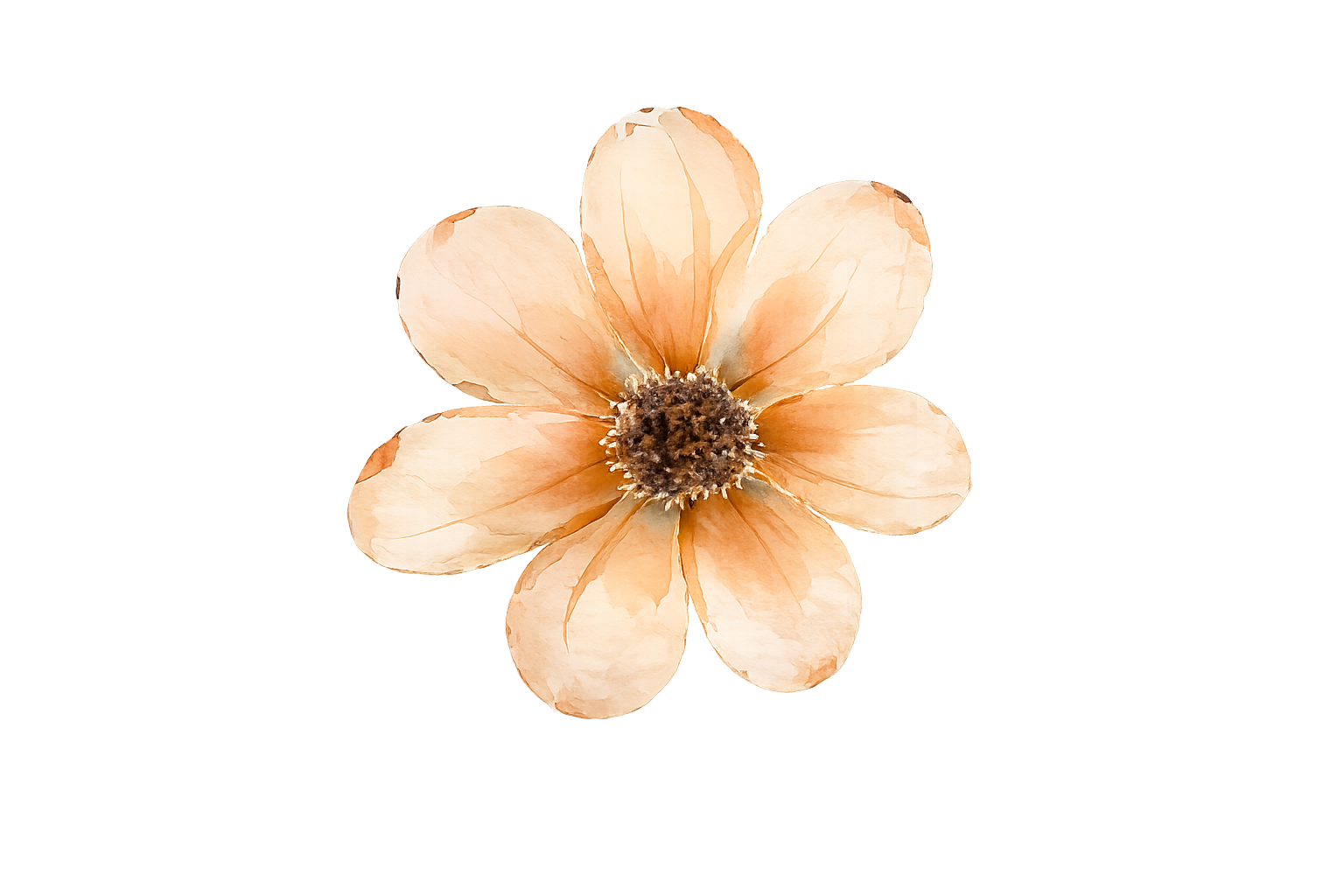 Flor